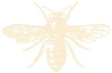 bees-illustration bees illustration